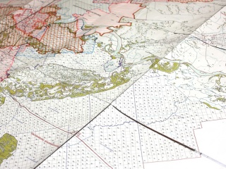 В Алтайском крае зеленую зону городов планируют увеличить в три раза