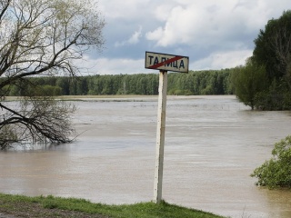 В зону подтопления в Советском районе Алтайского края попали восемь сел