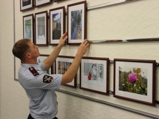 В Алтайском крае открыли выставку фотографий «Мой лес»