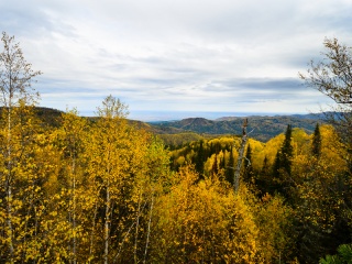Тропами шаманов: в Белокурихе-2 разработали маршрут, посвященный легендам и мифам Алтая