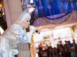 В Алтайском театре музыкальной комедии состоялась премьера новогоднего представления