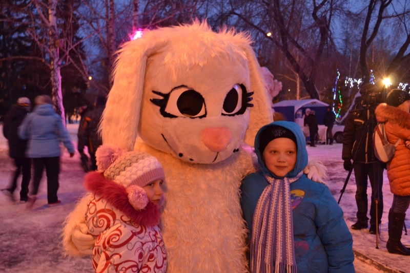 Более 300 залпов салюта прозвучало в парке Центрального района на открытии елки