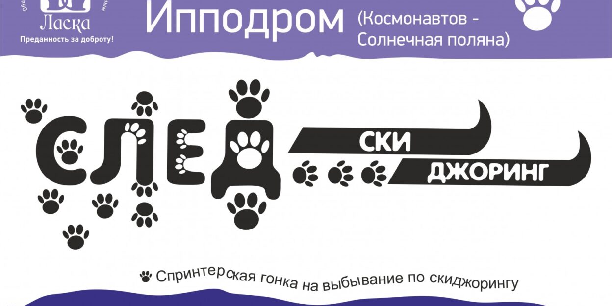 23 февраля на барнаульском ипподроме пройдут соревнования по скиджорингу «След-2015»