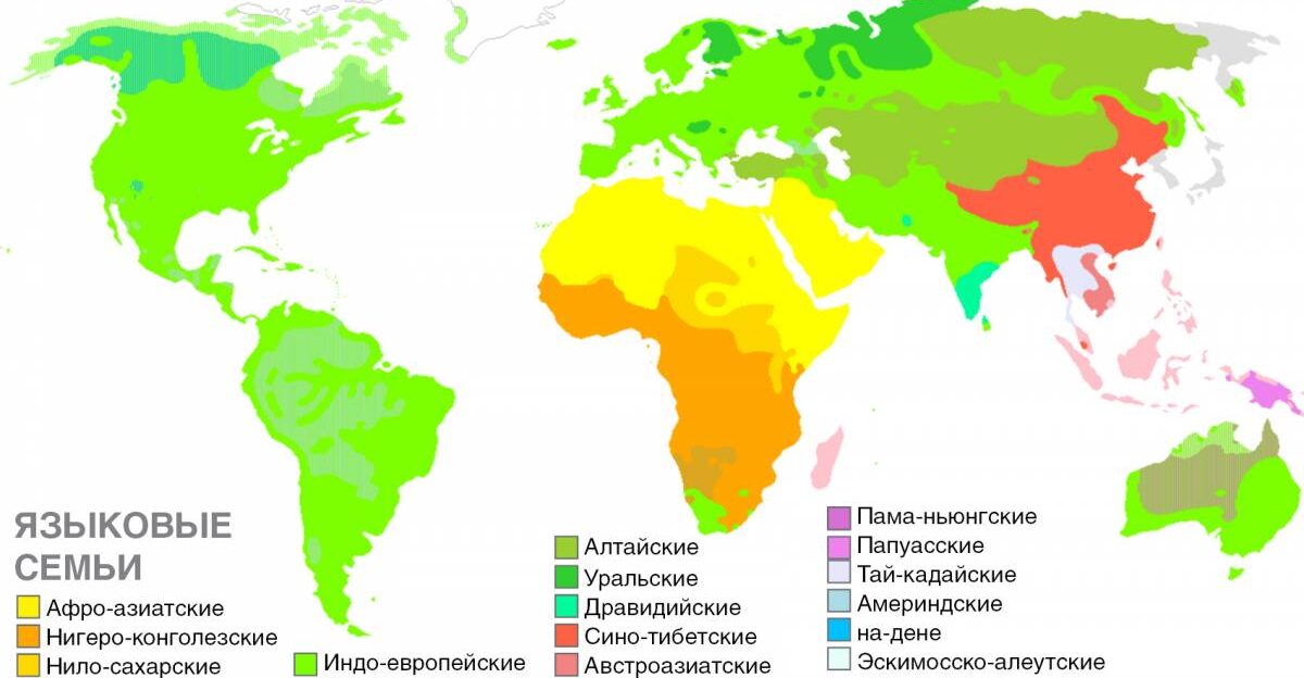 Информация в природе: от первичного бульона до Попки-дурака
