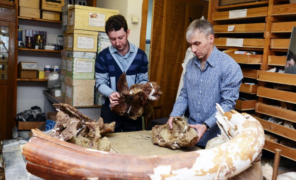 Томские ученые нашли останки неизвестного вида титанозавров