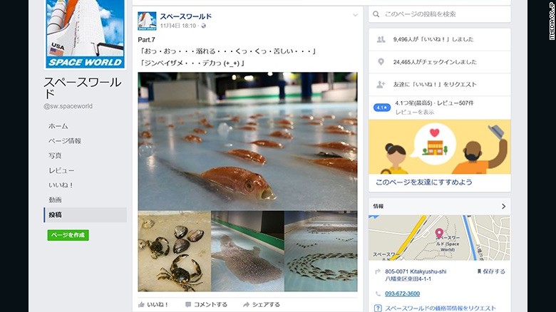 В Японии при возведении катка заморозили 5 тысяч рыб