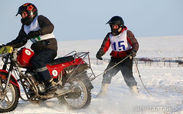 День защитника Отечества. Обзор событий на большие февральские выходные