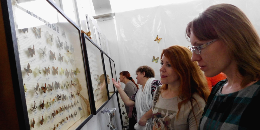 В галерее «АлтайТалантБийск» открылась выставка «Душа Алтая»