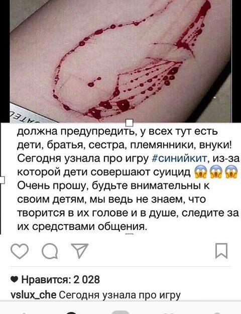 Синий кит: игра, способная убить подростка, распространяется в России