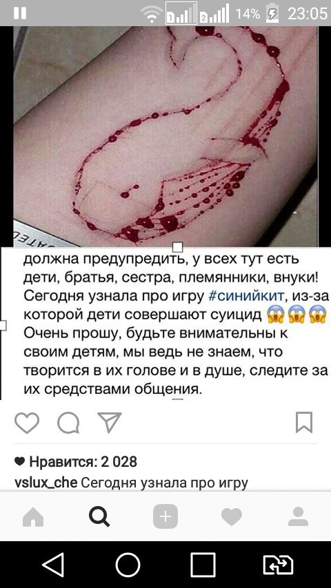 Синий кит: игра, способная убить подростка, распространяется в России