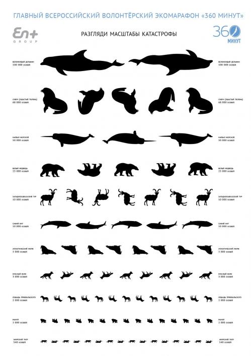 Жители Сибири сегодня проверят свое «Экологическое зрение»