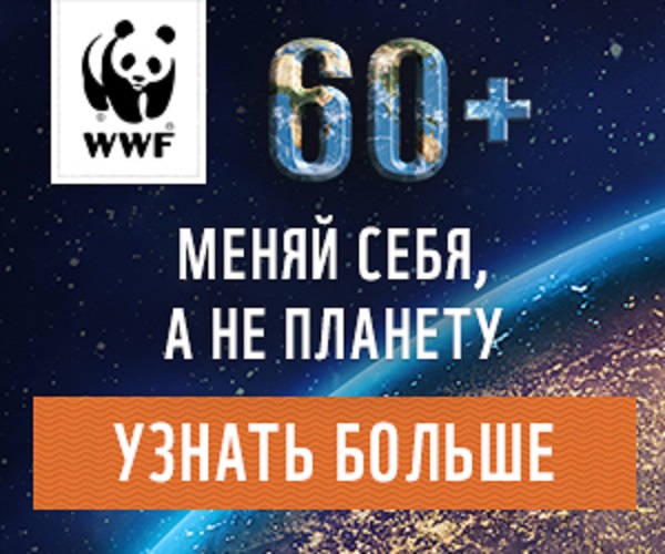 Барнаул поборется за звание «Столица Часа Земли»