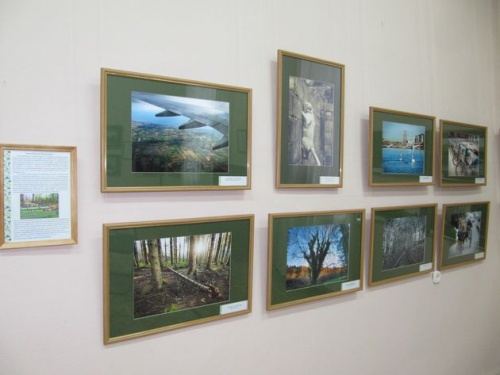 Государственный художественный музей Алтайского края в рамках проекта «Поезд культуры» открывает фотовыставку в Павловском музее