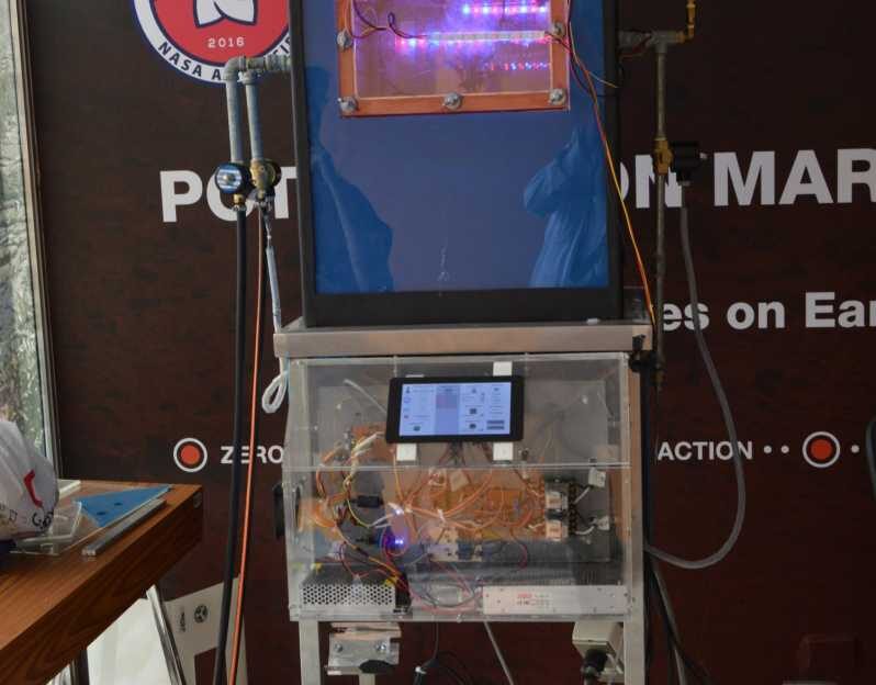 Эксперименты подтверждают возможность выращивания картофеля на Марсе