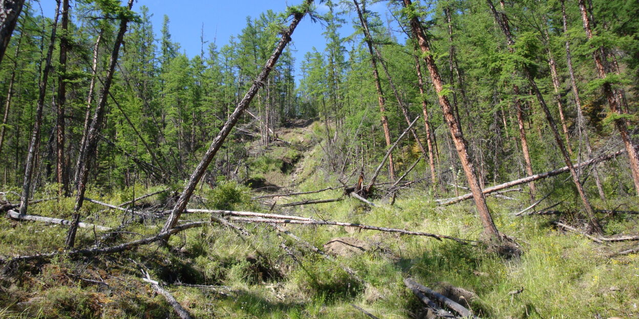 Красноярские ученые предупреждают об увеличении количества оползней в зоне вечной мерзлоты