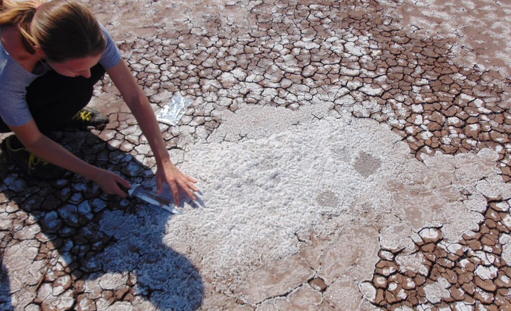 Геологи ТГУ нашли озеро, соли которого меняют свой состав зимой и летом