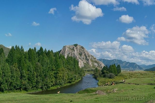 Уикенд в Чарыше: барнаульцы собираются в гости к покорителю Эльбруса