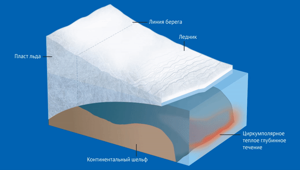 Климатологи выяснили, что уничтожает льды Антарктики