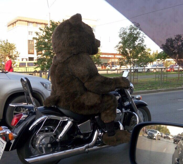 «Медведь» разъезжает на мотоцикле по Барнаулу