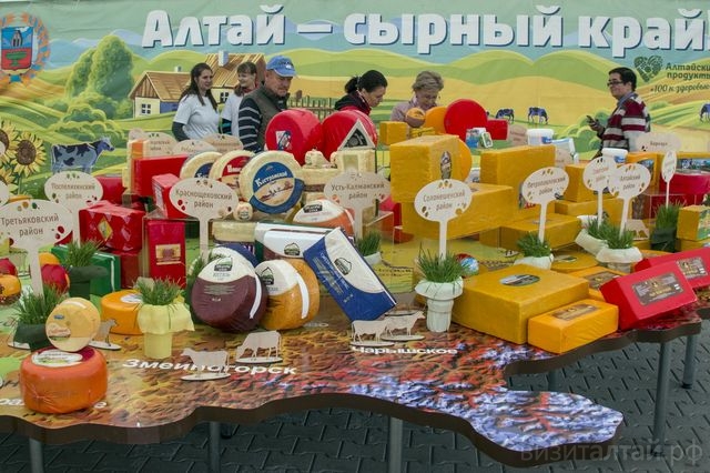 Сыр, повышающий тонус, будут выпускать в селе Алтайском