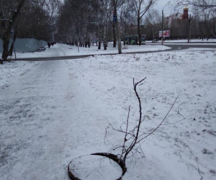 Барнаульцы сообщают об открытых люках на улицах города