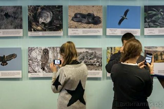 Лучшие кадры о Салаире из Заринска приедут в Барнаул, а затем отправятся по районам края