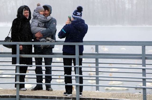 Чем заняться на озере, кроме наблюдения за птицами? Программа «Алтайской зимовки» в заказнике