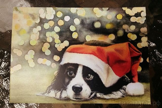 Зимняя магия в музеях края: удерживаем праздничное настроение