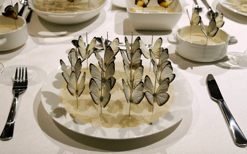 Утверждена новая редакция Красной книги