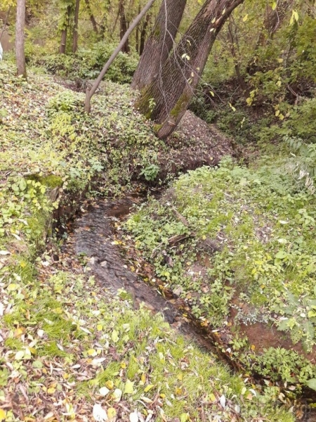 Сельский туризм в Алтайском крае. Усадьба Колмогоровых приглашает в Крещение набрать воды из родникового ручейка