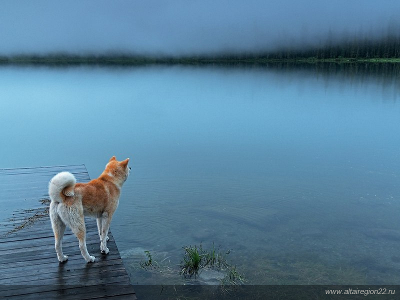 В Алтайском крае стартует цикл встреч с профессиональными фотографами-путешественниками