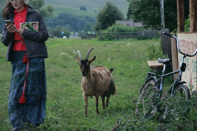 Как развивать сельский туризм, на вебинаре расскажут практики из в Алтайского края и соседней республики