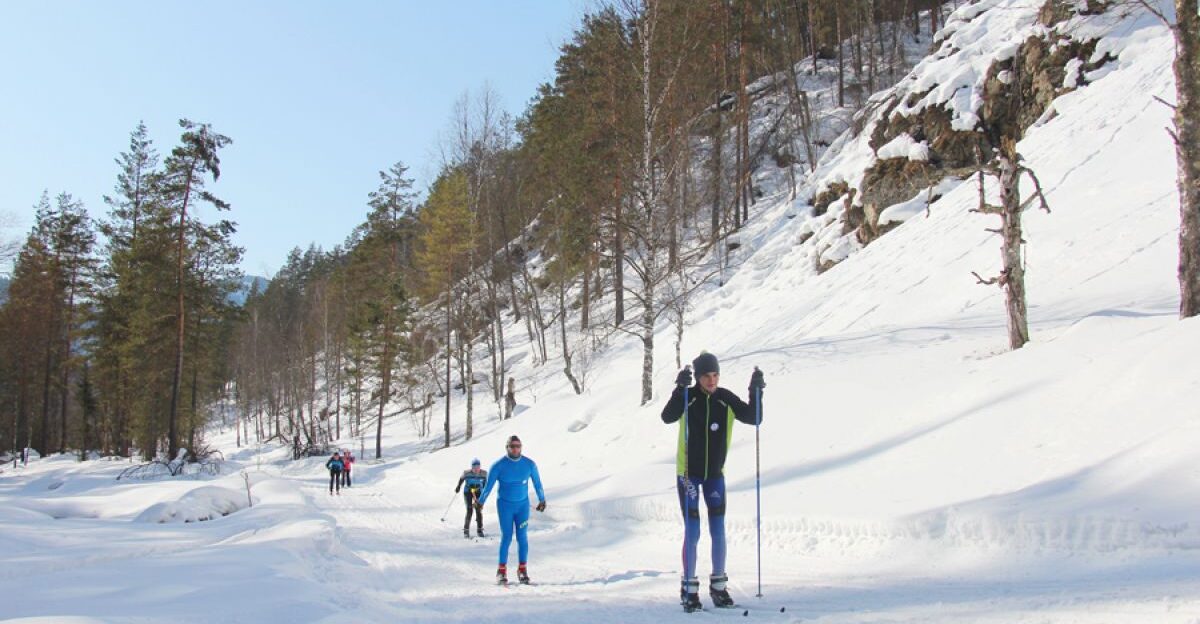 В селе Алтайском 17 марта пройдёт массовая лыжная гонка на 25 километров