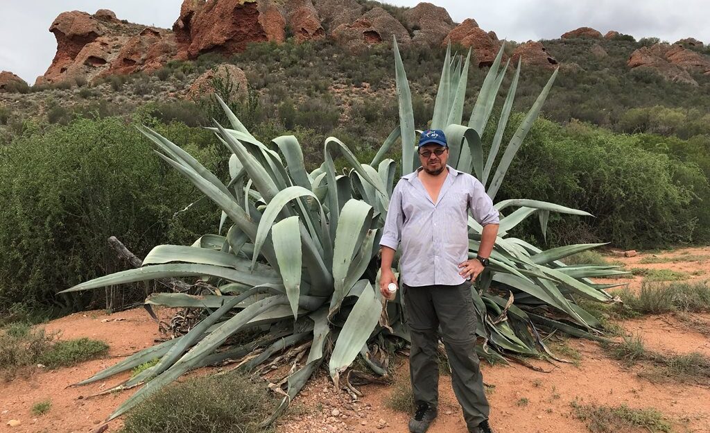 Барнаульский ученый в экспедиции по ЮАР нашел новый для науки вид чешуекрылых бабочек