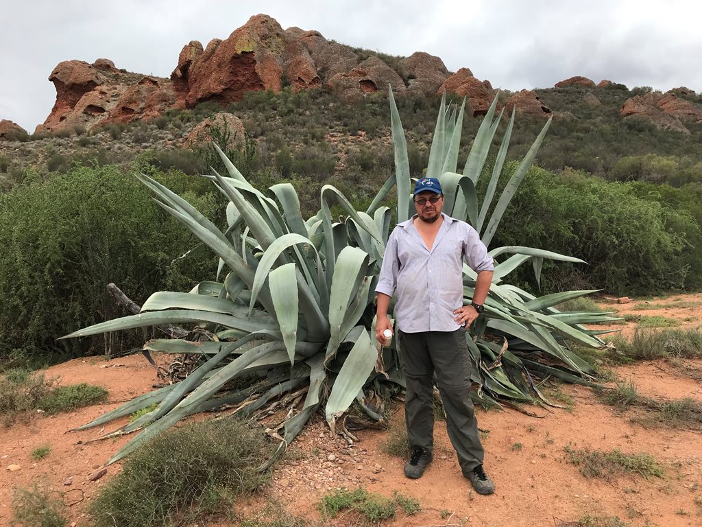Барнаульский ученый в экспедиции по ЮАР нашел новый для науки вид чешуекрылых бабочек