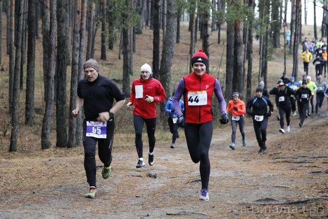 Барнаульцы в воскресенье побегут кроссы с собаками и без