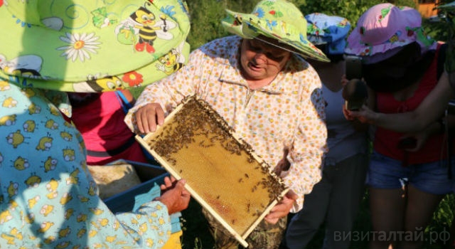 Экскурсии на празднике «Цветение маральника»: куда, на сколько и за сколько?