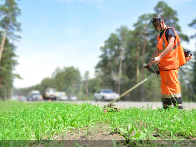 В Барнауле состоится открытие Зональной городской студенческой стройки «Барнаул-2018»
