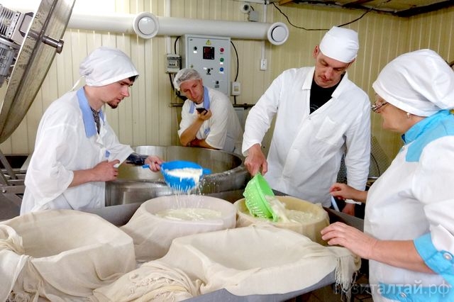 В Барнауле состоится семинар-практикум по сыроделию