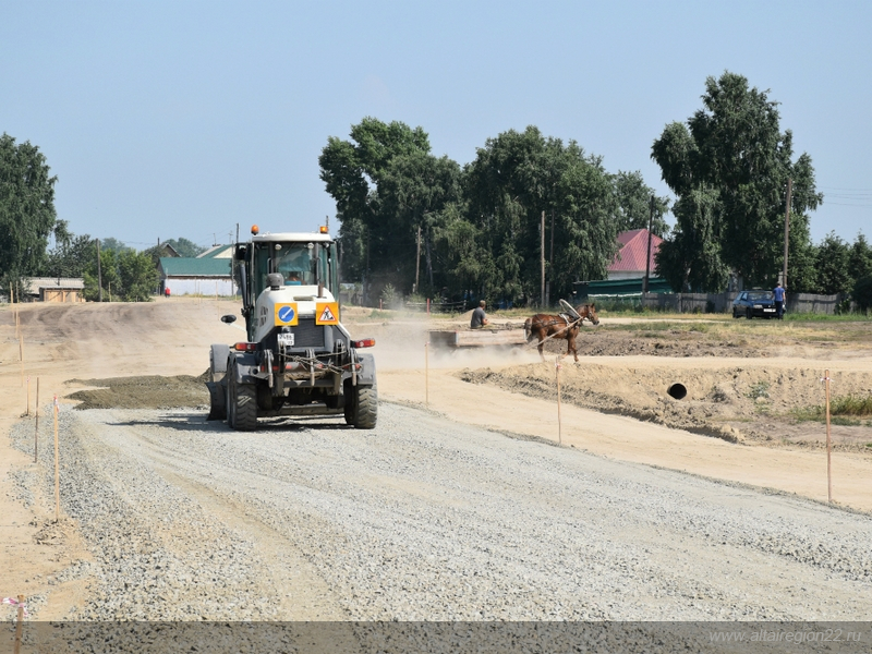 В Алтайском крае строят дорогу к животноводческому комплексу в Зональном районе