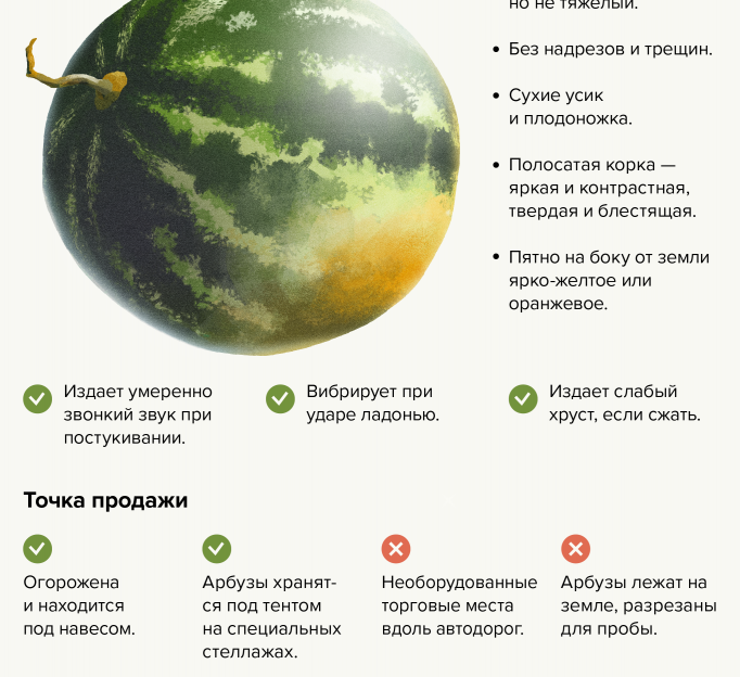 Как выбирать арбузы и дыни?