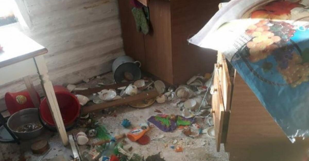 В Горном Алтае медведь напал на женщину