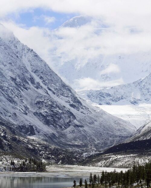 Выставка лучших работ международного фотоконкурса «Живая природа Алтая» будет представлена в Барнауле