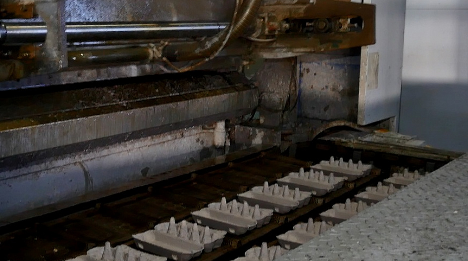 В Барнауле на предприятии «Сибтара» открылась автоматическая линия по производству бумажных контейнеров