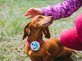 Жителей и гостей Барнаула приглашают на благотворительную фотосессию