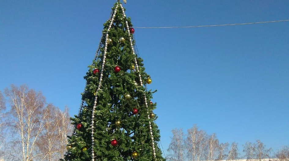 Жителей барнаульского села Власиха приглашают на новогодний праздник