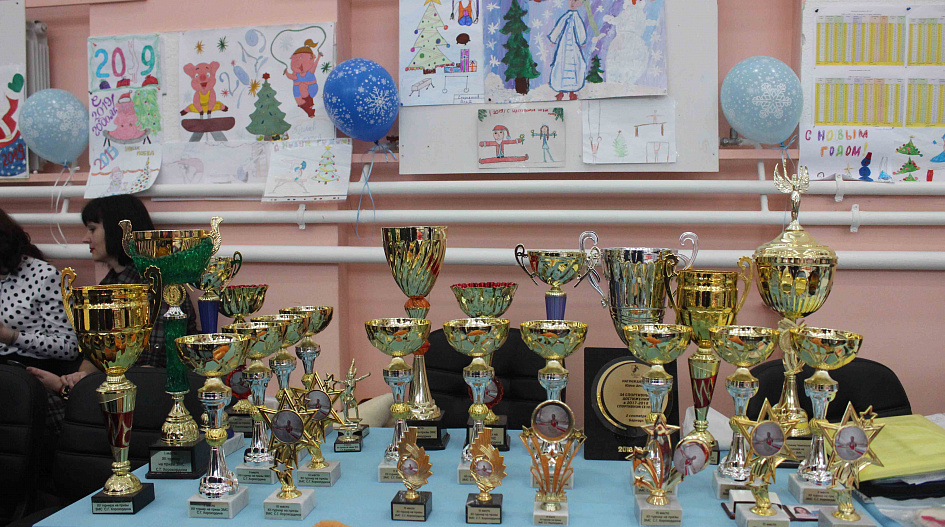 В Барнауле прошёл традиционный открытый турнир по спортивной гимнастики на призы Сергея Хорохордина