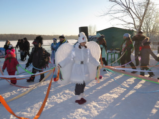 Второй арт-фестиваль «Лебедушка» планируют провести в наукограде Алтайского края в Международный день птиц – 1 апреля