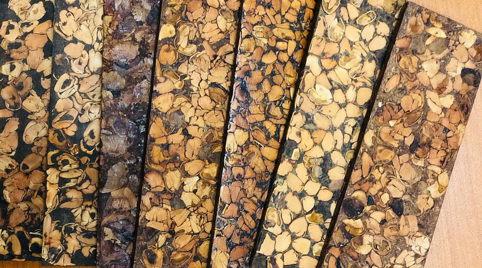 Барнаульские ученые предложили использовать отходы зерновых культур для изготовления стройматериалов