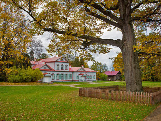 Жителей Алтайского края приглашают принять участие в голосовании «Дерево года»